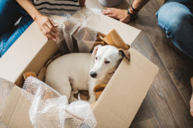 Albérletdrágulás: Debrecen beérte Csepelt